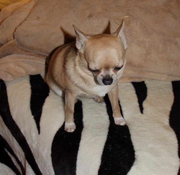 Уголочки мои драгоценные-2. Год спустя. Часть первая, БЖД-шная )