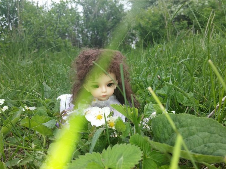 Ох, эти белые цветы! До свидания, весна (фото 7)