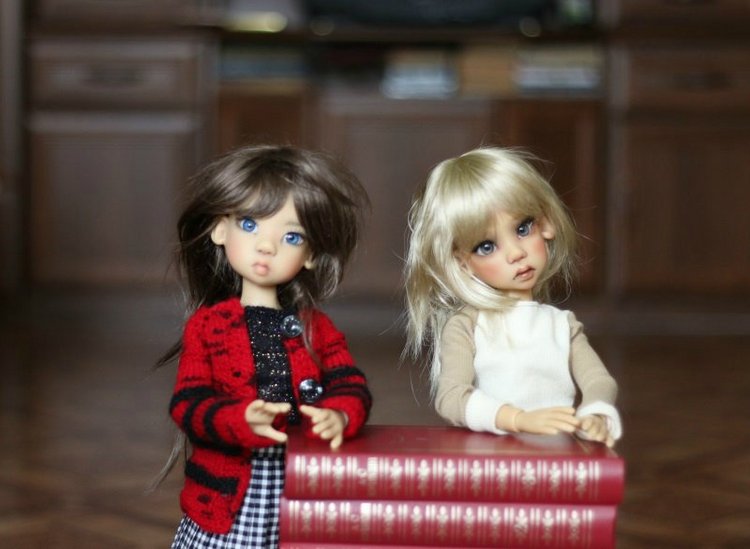 Куклы Кае Вигс и любовь к чтению (фото 8)
