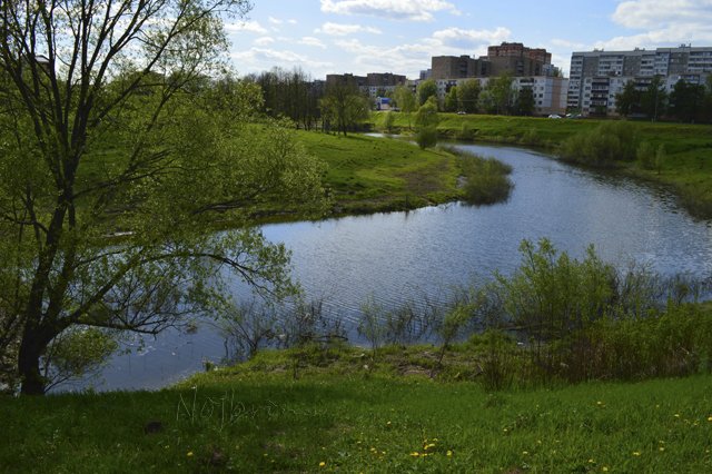 Яркие краски. Вихтели Rosemarie Anna Muller