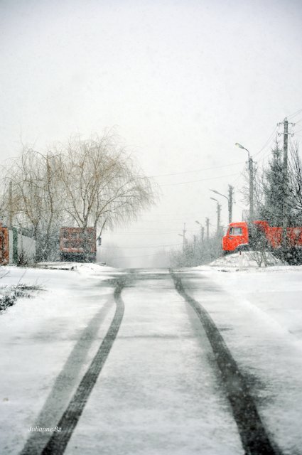 Коты прилетели... первые вестники весны