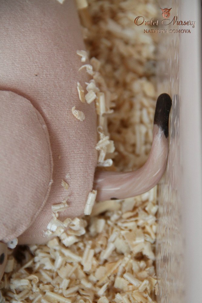 Свинка Пеппа и её младший братик Джордж. Поросята реборн Наталии Сомовой (фото 10)