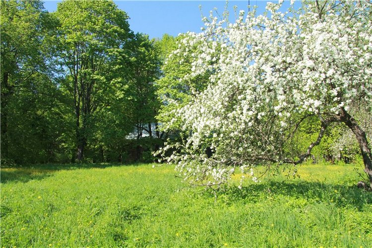 Субботний вояж. Третья часть | Бэйбики Субботний вояж. Третья часть