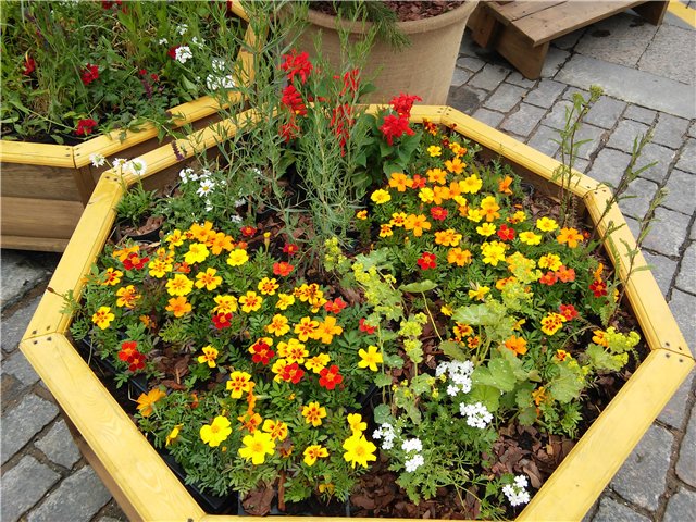 Незапланированная прогулка