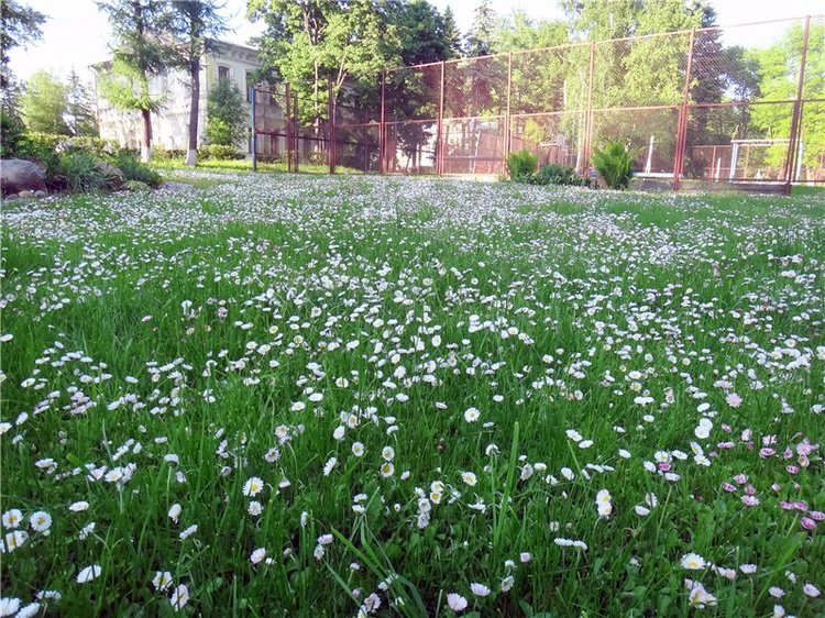 Кашин - город русского сердца. Часть пятая. Город - курорт, Санаторий "Кашин"