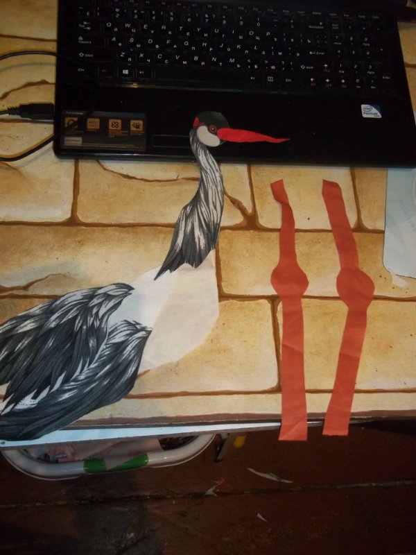 Процесс Одеялка — Другие хобби и увлечения: сад