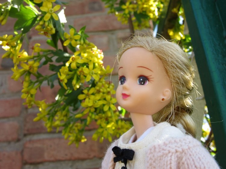 И вновь Хелена посещает логопедический кабинет... а заодно и рассматривает садик