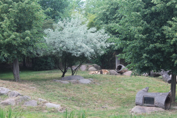 По Германии: зоопарк Лейпцига, часть 3