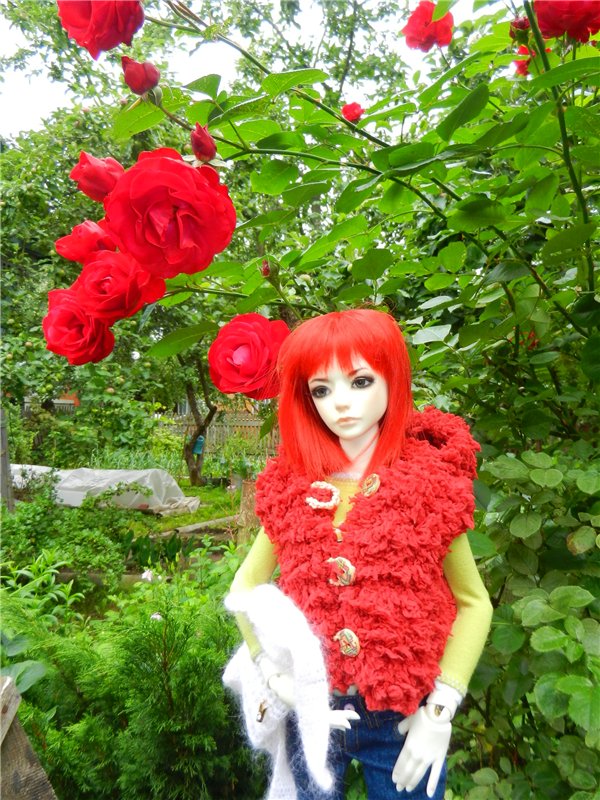 Сборная солянка (Любимые БЖД)