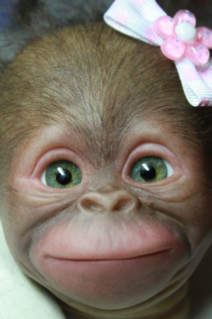 Бонька, обезьянка реборн Элины Кудрявцевой (фото 3)