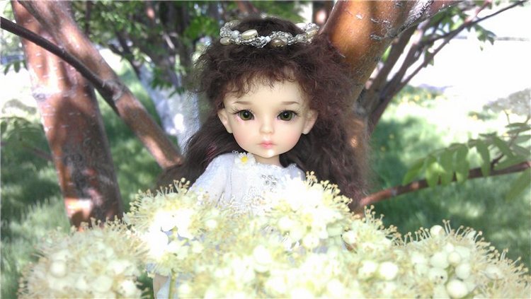 Ох, эти белые цветы! До свидания, весна (фото 8)