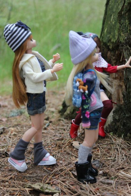 Японские девочки azone pure neemo в русском лесу