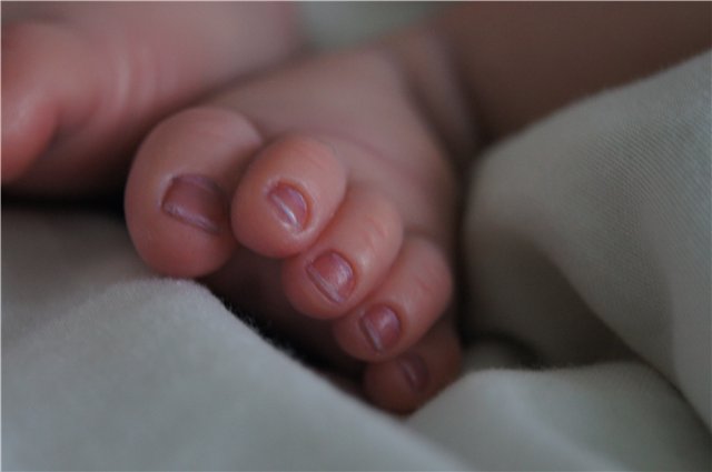 Мой первый реборн Ноа — Куклы Реборн (Reborn): работы мастеров (фото 8)