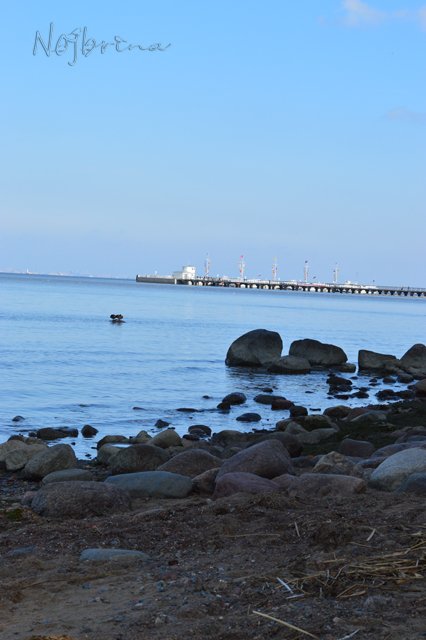 Питер - самый лучший город на земле! Вихтель Rosemarie Anna Muller