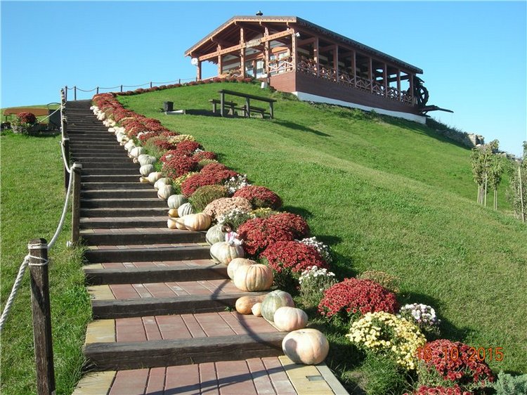 Первые прогулки Алисы — Фэшн