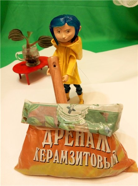 Мама любит куколок и цветочки | Бэйбики Мама любит куколок и цветочки (фото 10)