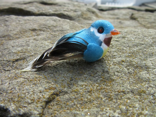 Юные кладоискательницы, или Офелия и Луни развлекаются