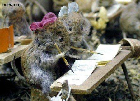 10 секретов богатства — Болталка и разговоры обо всем: жизнь