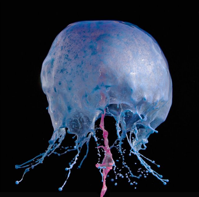 Капелька2 -ВСПЛЕСК- американский фотограф Джек Лонг | Бэйбики Капелька2 -ВСПЛЕСК- американский фотограф Джек Лонг (фото 8)