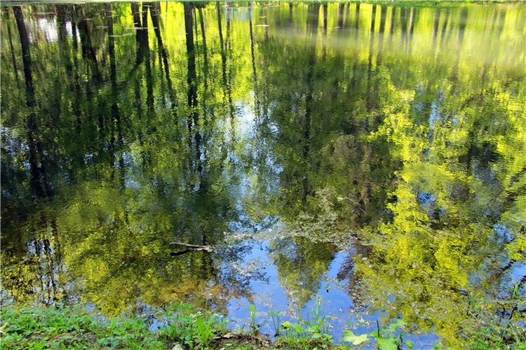 Субботний вояж. Часть вторая | Бэйбики Субботний вояж. Часть вторая