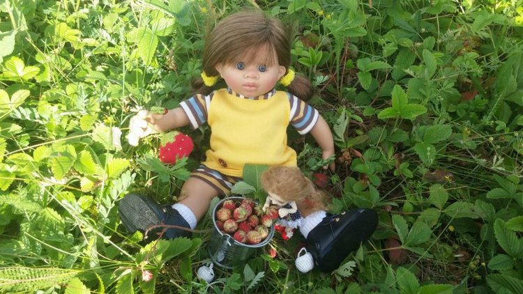 Земляничный день — Домашние коллекции кукол: фото собраний