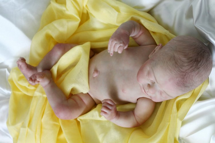 Кукла реборн Серафима. Молд Americus (фото 4)