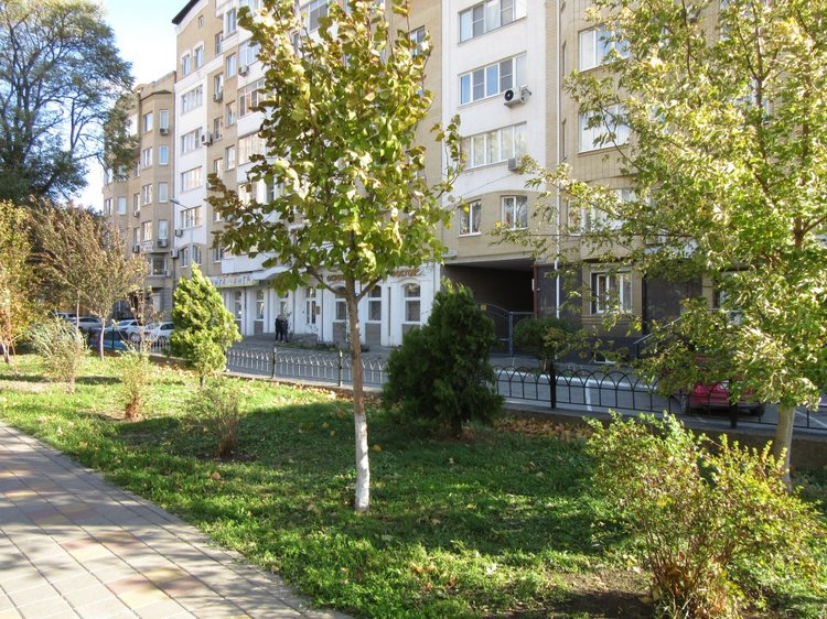 Незнакомка с черном и с косой, или Смертушка тоже хочет дружить