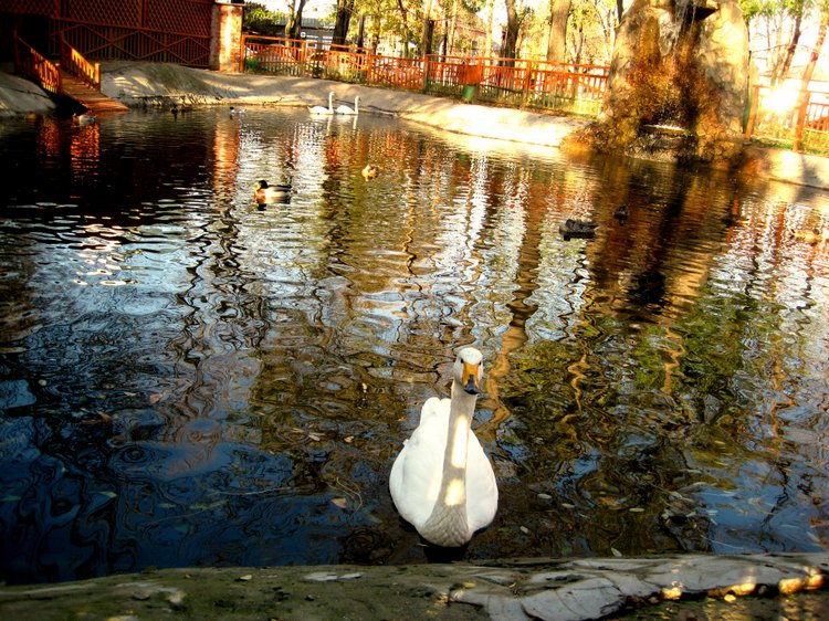 Путешествие к морю. Коллекционная кукла Фрося. Flori, Rolanda Heimer, Schildkrot