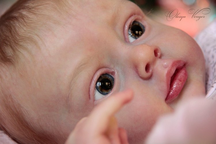 Моя Хлоя, мой любознательный Совенок, кукла реборн Олеси Венгер