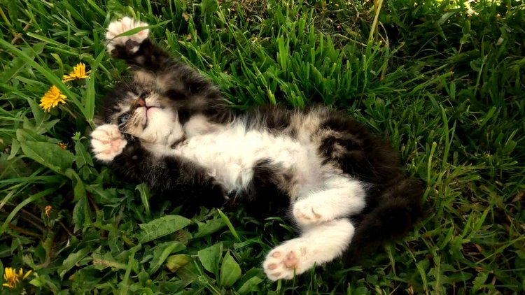 Кукла Нина. Мой подарок от подруги