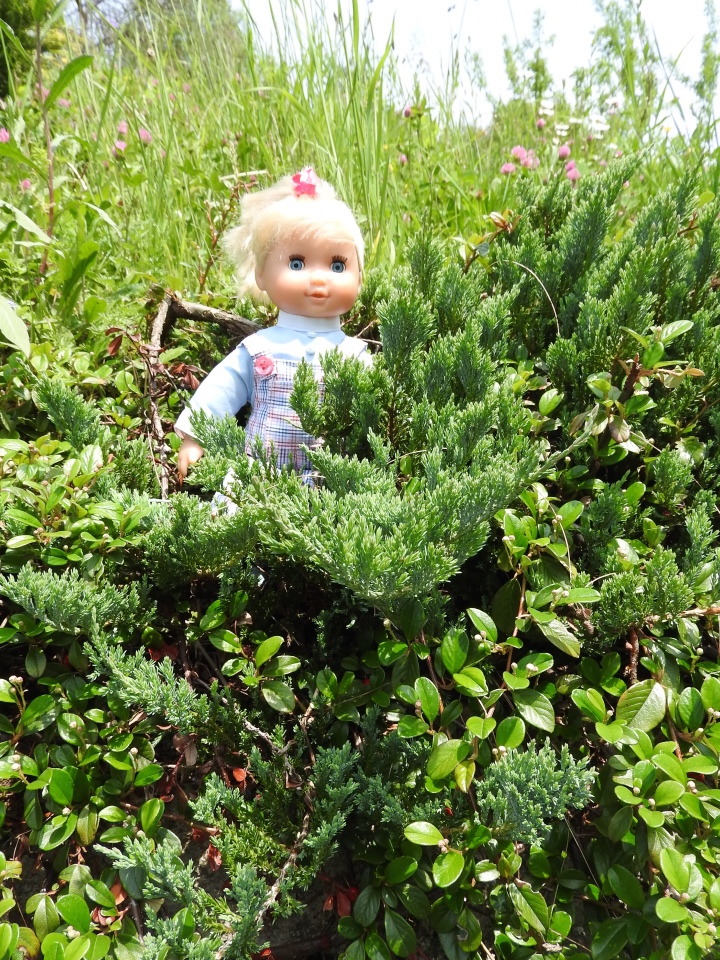 Словения, Светланка и маленький «герой» в одном ботинке