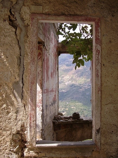 Интересное и необычное: фотоподборки (фото 9)