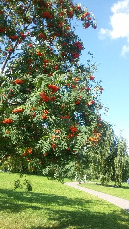 "Есть на Москве места такие..." ч.2. Тайны Коломенского оврага