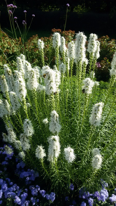 "Есть на Москве места такие..." ч.2. Тайны Коломенского оврага