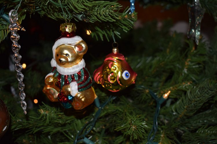 Болталка и разговоры обо всем: жизнь