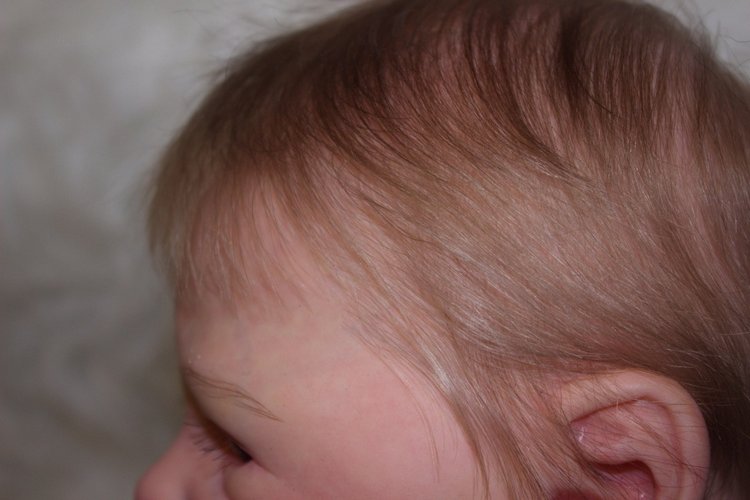 А у нас пополнение! И нас очень много (фото 4)