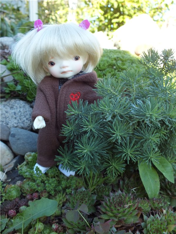 Моя нежная девочка от Irrealdoll! Enyo (Эньо) от Irrealdoll, Vanilla (нормал скин) (фото 7)