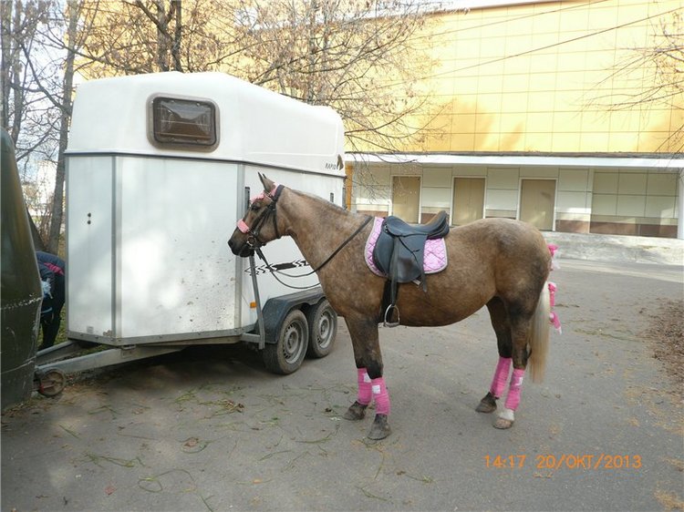 Мой милый утеночек! Лёля - кукла Ли Миддлетон