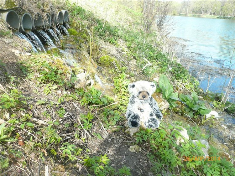 Про Мишку. Коллекционный Мишка Панда от Charlie Bears (фото 8)