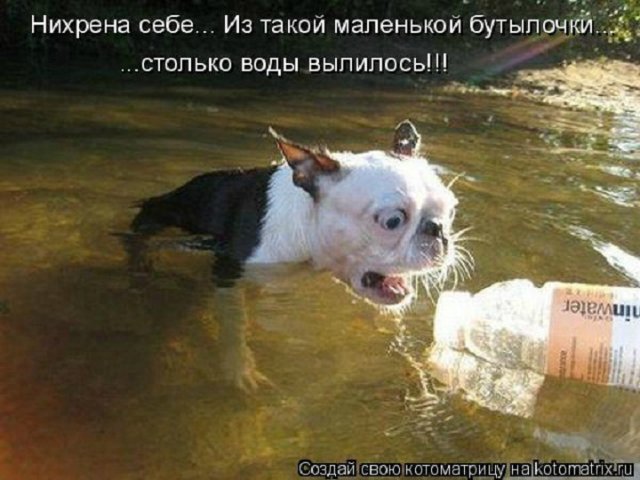 Понедельник - день тяжёлый | Бэйбики Понедельник - день тяжёлый