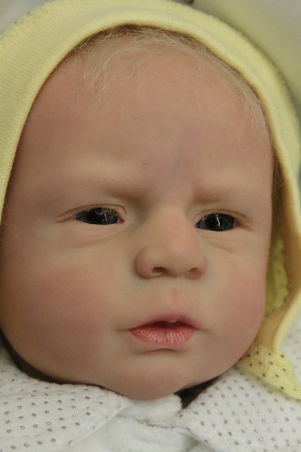 Фотоотчёт с выставки кукол MOSCOW FAIR 2015 - наши мастера кукол реборн | Бэйбики Фотоотчёт с выставки кукол MOSCOW FAIR 2015 - наши мастера кукол реборн