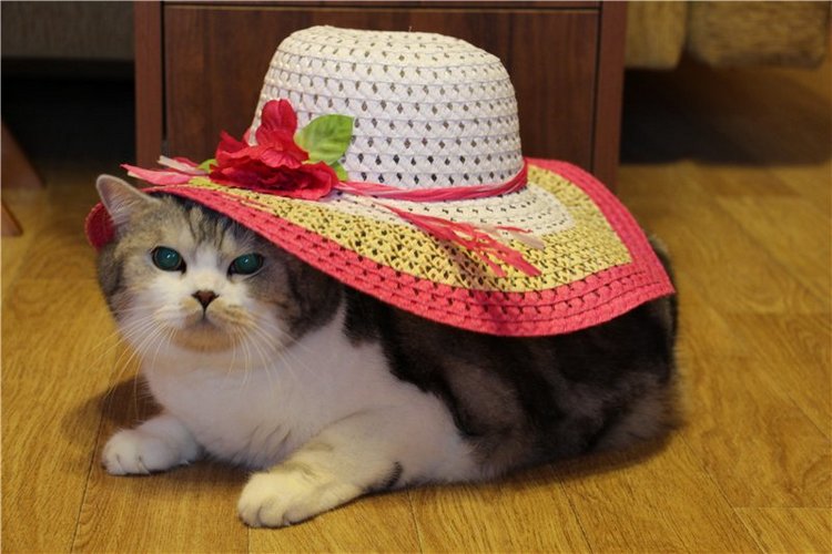 "Живая шляпа". Куклы Rosemarie Anna Muller (фото 7)