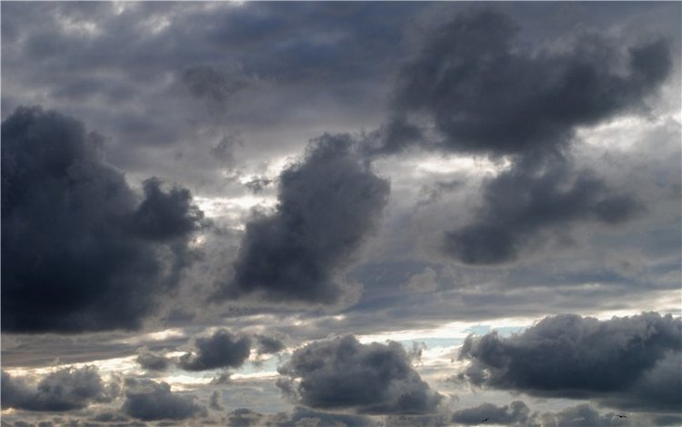 О море и Демоне — Куклы Monster High и Ever After High: G1 (фото 4)