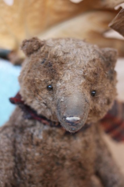 Старенький мишка Анис. Авторская игрушка Татьяны Матляк (фото 9)