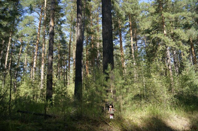 Как Лиу и Клодин за грибами ездили