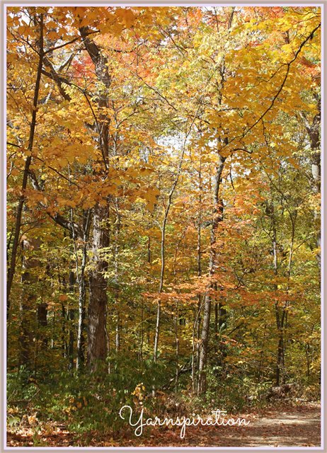 "Скинуло кафтан зелёный лето..." - Игровые куклы Magic Attic Club от Robert Tonner