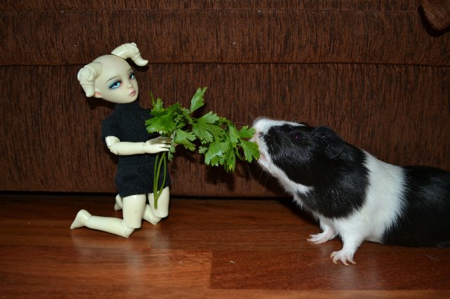 Главное не победа, главное -участие (фото 4)