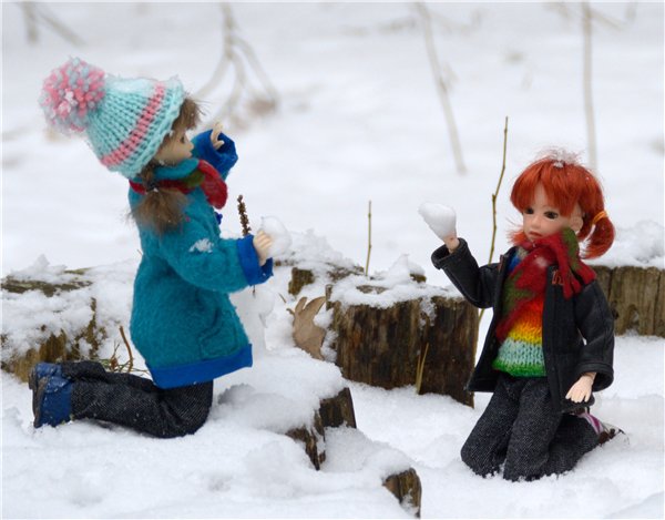 Зимняя прогулка — Куклы и тела Obitsu (Обитсу): 1/6 (фото 7)