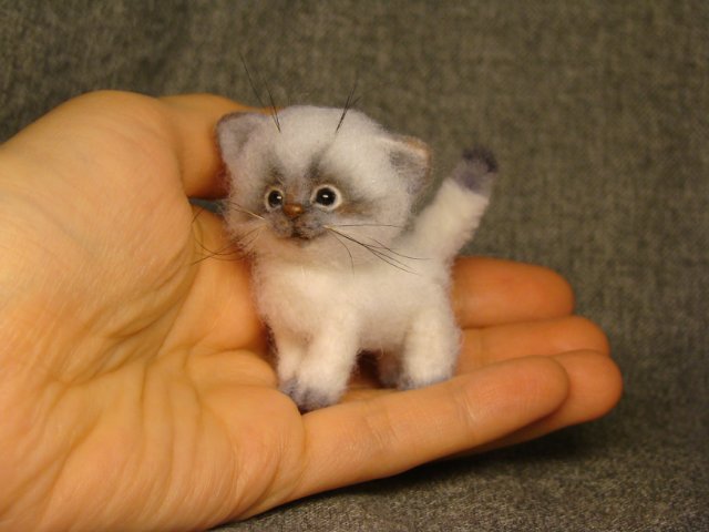 Котейка. Авторская игрушка валянием из шерсти Ольги Чернухо (фото 9)