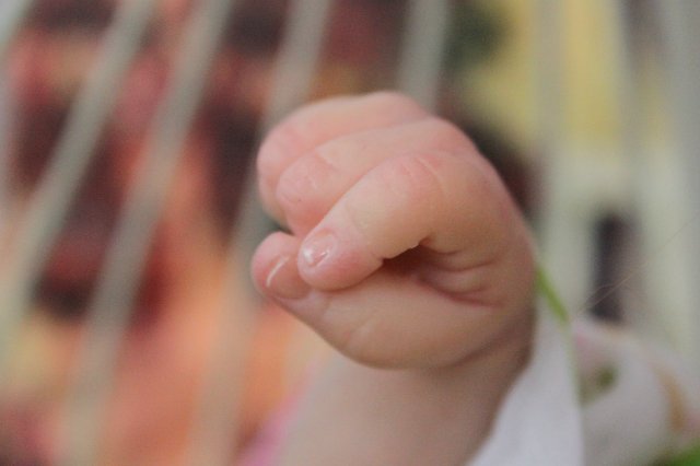 Чудо в перьях, кукла-реборн Элины Кудрявцевой